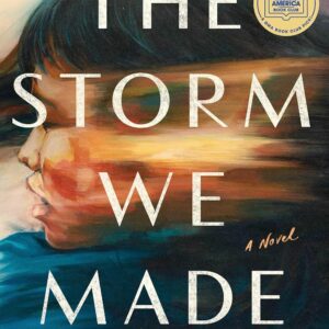 The Storm We Made by Vanessa Chan