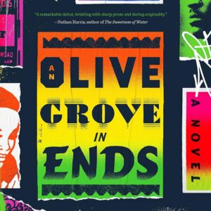 An Olive Grove in Ends by Moses McKenzie